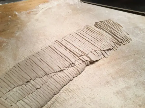 蕎麥麵示意圖（非本店實拍）