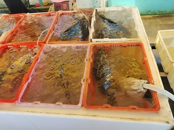 海鮮示意圖（非本店實拍）